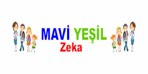 Mavi Yeşil Zeka